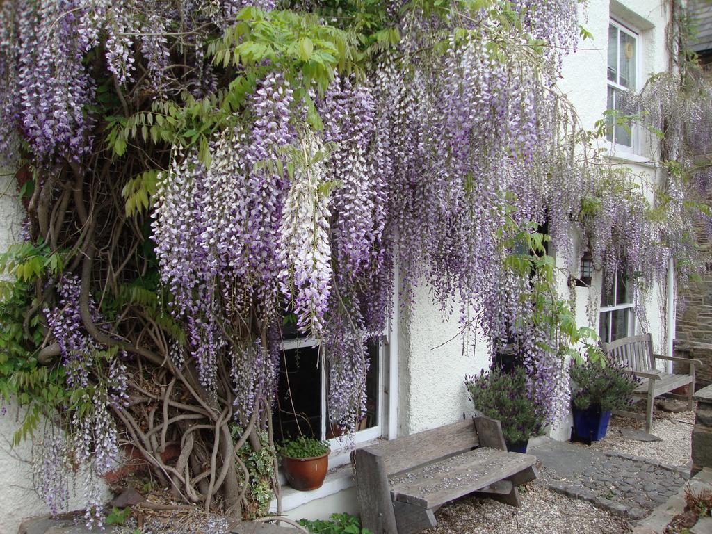 Ferienwohnung Half Moon House Hay-On-Wye Exterior foto